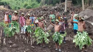 తలపై అడ్డాకులు.. భుజాలపై డోలీలు.. అడవి బిడ్డలు