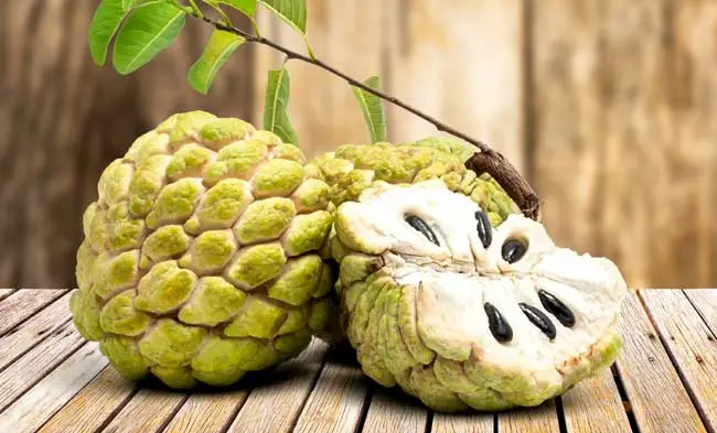 Custard apple: సీతాఫలం తినడం వల్ల ఆరోగ్యానికి అద్భుతమైన ప్రయోజనాలు
