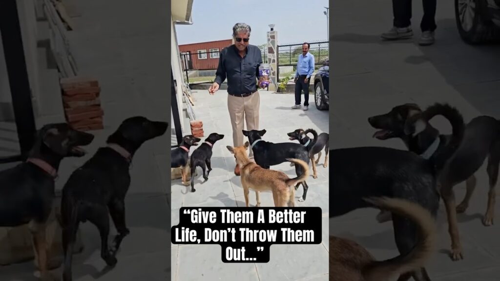 Kapil Dev : వీధి కుక్కల కోసం కపిల్ దేవ్ భావోద్వేగ పిలుపు