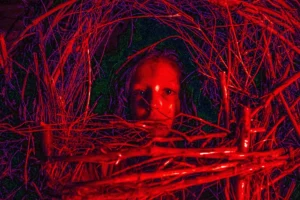 ఓటీటీని ఊపేస్తున్న హారర్ మూవీ