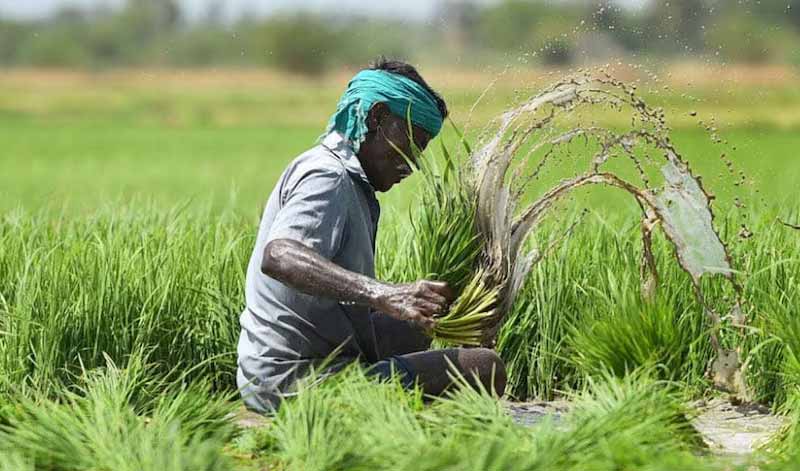 PM Fasal Bima Yojana : రేపు పీఎం ఫసల్ బీమా యోజన నిధులు విడుదల