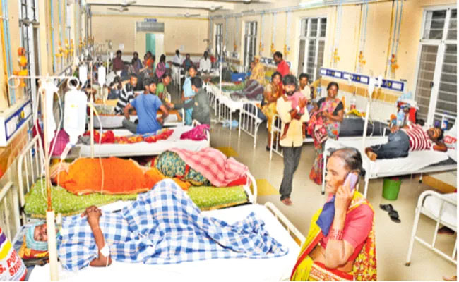 Breaking News Rain Effect : పీడిస్తున్న విష జ్వరాలు.. పెరుగుతున్న బాధితులు!