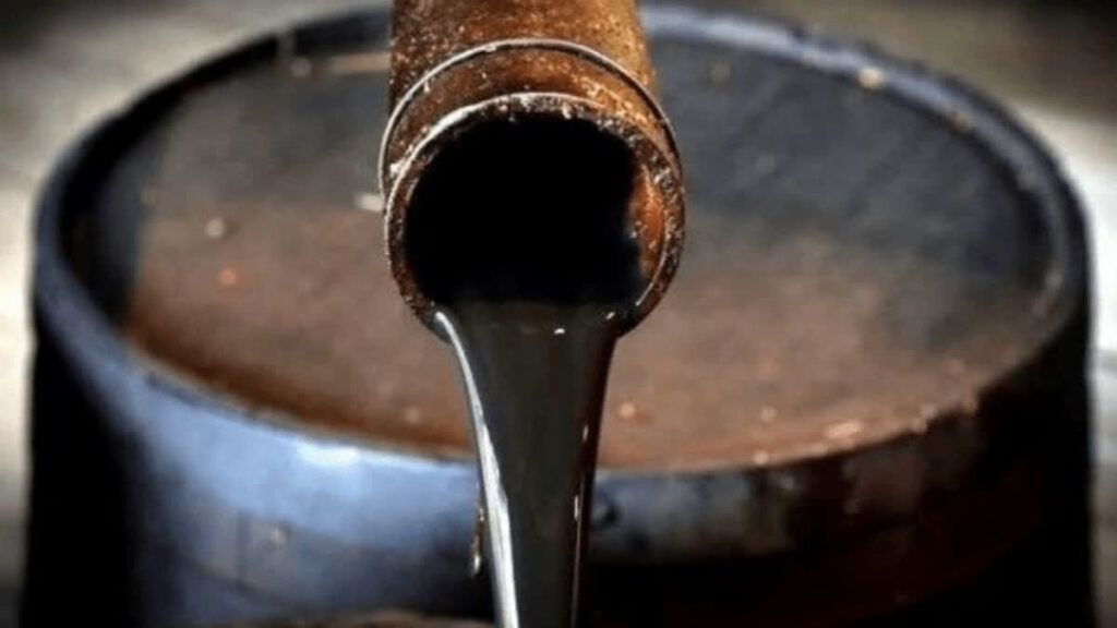 Vaartha live news :India : చమురు కొనుగోలుపై వెనక్కి తగ్గేది లేదు: భారత్