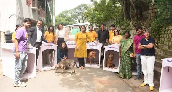 Street dogs: వ‌ర్షాల క‌ష్టాల నుంచి వీధికుక్క‌ల‌కు ర‌క్ష‌ణ‌