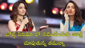 Tamannaah- బోల్డ్ సినిమా లో నటించేందుకు ఆసక్తి చూపుతున్న తమన్నా