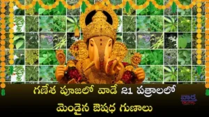 వినాయక చవితి పూజలో వాడే 21 పుజా పత్రాలు