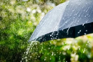 Rain Alert- వచ్చే మూడు రోజులు ఆంధ్రలో మోస్తరు వర్ష సూచన