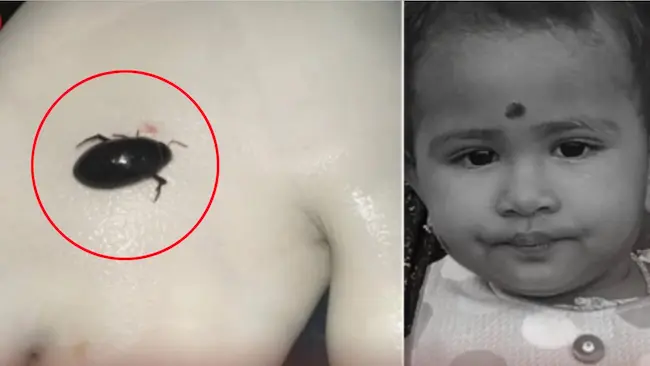 News Telugu: Tamil Nadu- పురుగును నోట్లో వేసుకున్న ఏడాది చిన్నారి ఊపిరాడక మృతి