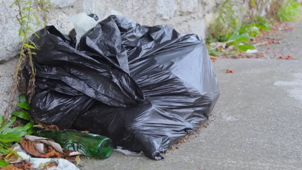 crime :  రోడ్డు పక్కన 7 ప్లాస్టిక్‌ సంచులు.. దుర్వాసన రావడంతో వెళ్లి చూడగా మహిళ తల...