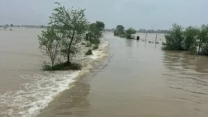 మధ్యప్రదేశ్, యూపీలో భారీ వరదలు.. 252 మృతి