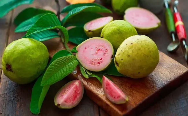 Guava: జామపండ్లు కొందరికి ఆరోగ్యం మరికొందరికి విషం..జాగ్రత్త