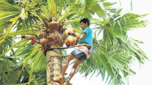 గీత కార్మికులకు ఏపీ ప్రభుత్వం శుభవార్త