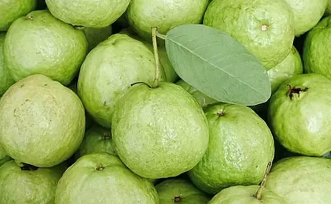 Guava