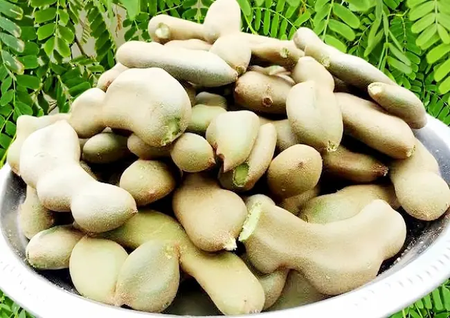 Unripe Tamarind : చింత పండు క‌న్నా చింత కాయ‌ల‌తో ఎన్నో ప్రయోజనాలు..