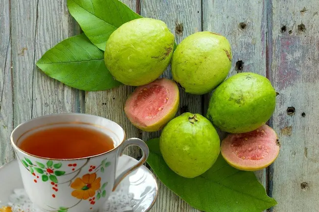 Guava Leaf Tea : జామ ఆకు టీతో ఎన్ని ప్రయోజనాలో..