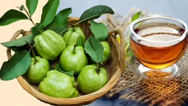 Guava Leaf Tea : జామ ఆకు టీతో ఎన్ని ప్రయోజనాలో..