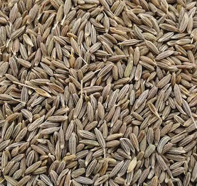 cumin seeds: జీలకర్రతో బెల్లీ ఫ్యాట్‌కు చెక్ ..