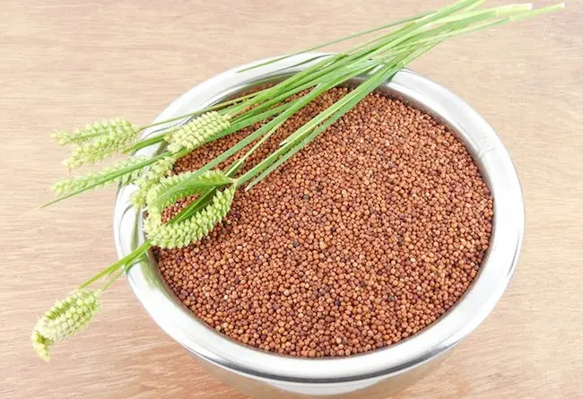 Finger Millet - రాగుల‌తో క‌లిగే లాభాలు ఏమితో తెలుసా..