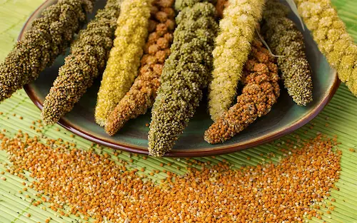 Millets for Health