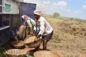 పాల్తూరు రైతులు వేరుశనగ తూకాల్లో మోసాలపై ఫిర్యాదు, అధికారుల స్పందన