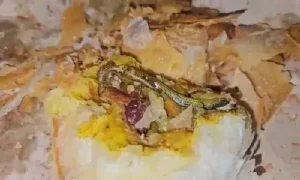 బేకరీ ఫుడ్​ ఐటమ్స్​తో జర భద్రం బ్రో..