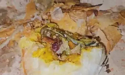 Bakery food : బేకరీ ఫుడ్​ ఐటమ్స్​తో జర భద్రం బ్రో..