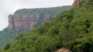 Environment – శేషాచలంలో ఔషధ వనాల అభివృద్ధి – యేడాదిలో 20వేల మొక్కలు నాటడం లక్ష్యం