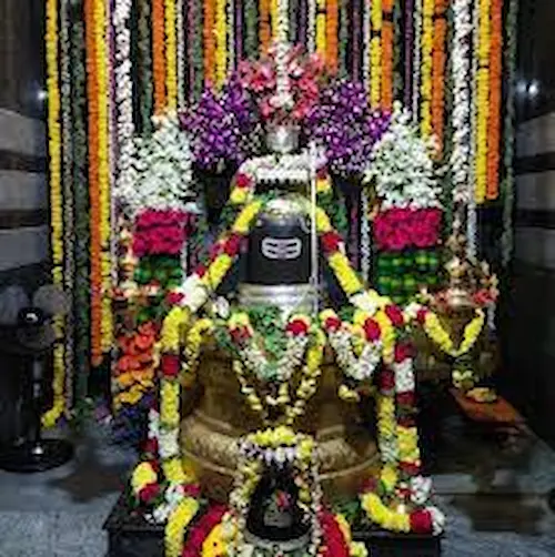 Sarpa Dosha Nivarana Temple