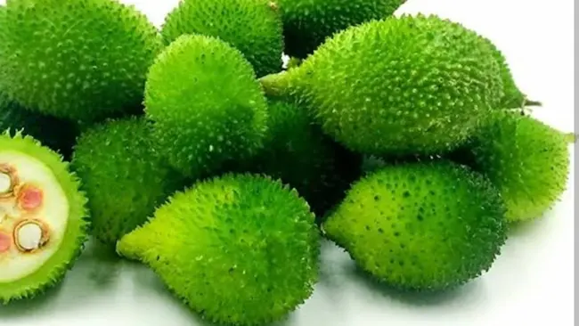 Spiny Gourd: బోడ కాకరకాయతో దీర్ఘకాలిక వ్యాధులు దూరం