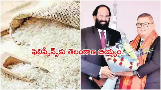 Rice: ఫిలిప్పీన్స్‌‌‌‌‌‌‌‌‌‌‌‌‌‌‌‌కు బారి ఎత్తున తెలంగాణ బియ్యం ఎగుమతి..