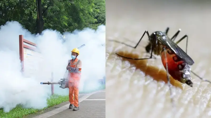 China Virus: చైనాలో మరో భయంకరమైన వైరస్