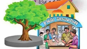 నేటినుంచి గ్రామ పంచాయతీల్లో కొత్త పాలకవర్గాలు ఏం మారబోతోంది?…