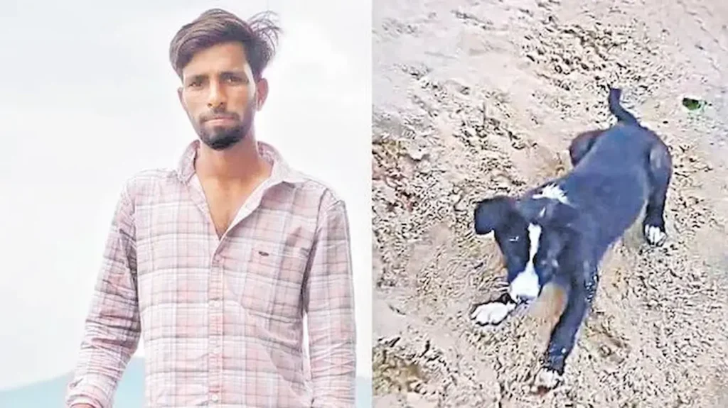 Latest News: Dog: అయ్యో!ప్రాణం మీదకు తెచ్చిన కుక్క గోరు