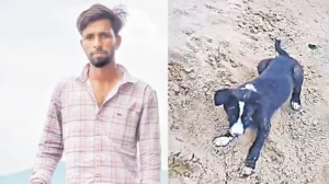 అయ్యో!ప్రాణం మీదకు తెచ్చిన కుక్క గోరు