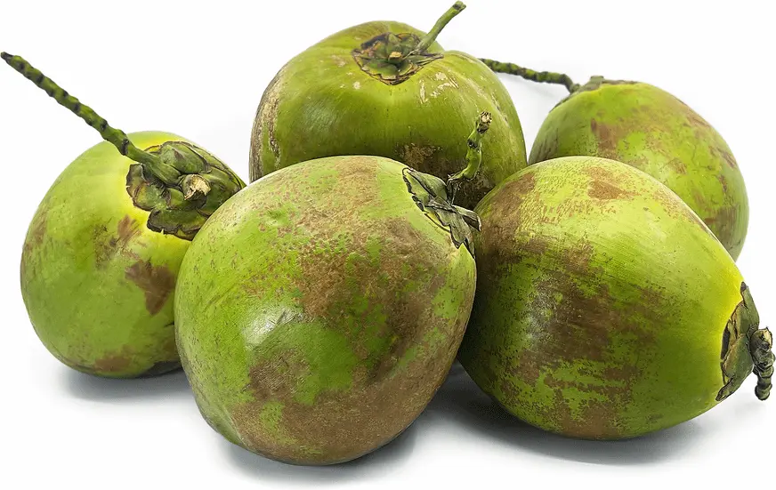 Latest News: Coconut – దొరికినంతకాడికి కొబ్బరి బొండాలను ఎత్తుకెళ్లారు