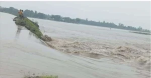 Viral Video-వాగుదాటిన వృద్ధురాలు.. గమ్యం చేరని యువకుడు