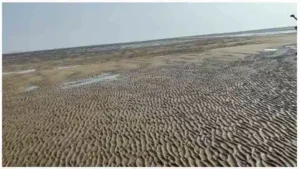 అంతర్వేది తీరంలో సముద్రం వెనుకంజ … ప్రజల్లో ఆందోళన