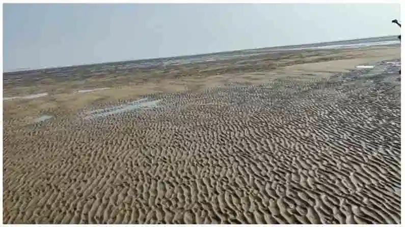 vaartha live news : Alert : అంతర్వేది తీరంలో సముద్రం వెనుకంజ … ప్రజల్లో ఆందోళన