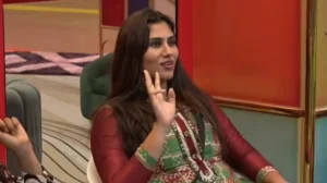 వైల్డ్ కార్డ్ ఎంట్రీ తో మరింత ఆసక్తి గా హౌస్