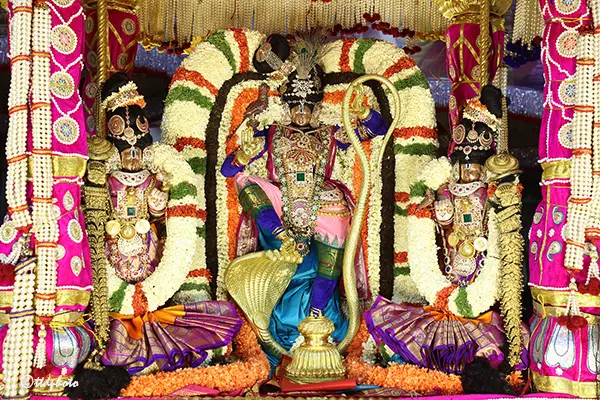 TTD: Celebration of the joy of the universal leader