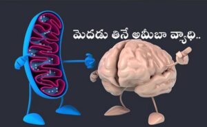 కేరళలో PAM కలకలం.. 19 మంది మృతి