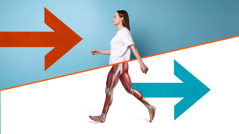 Breaking News – Reverse Walking : రివర్స్ వాకింగ్ చేస్తే ప్రయోజనాలు ఇవే!