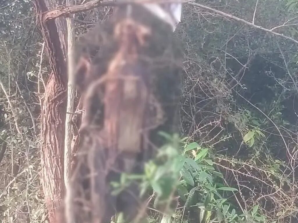 Vaartha live news : Andhra News : తిరుపతిలో అటవీ ప్రాంతంలో నాలుగు మృతదేహాలు!