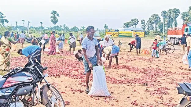 Vaartha live news : Free Onions : ఊరకే వస్తే వదులుకోరు – ఉల్లిపాయల కోసం హడావిడి