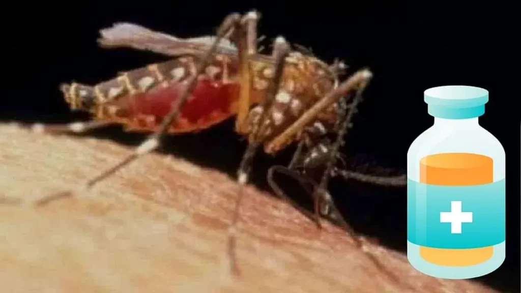 Vaartha live news : Malaria Vaccine : మలేరియా వ్యాక్సిన్‌ కి ఈ ఐదు కంపెనీలకు లైసెన్స్‌ మంజూరు చేసిన ICMR
