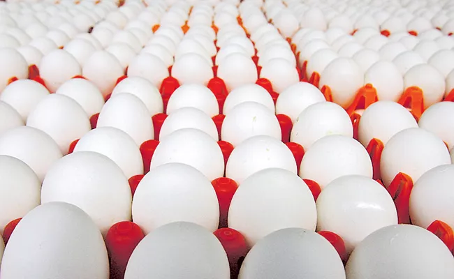 Vaartha live news : egg production : కోడిగుడ్ల ఉత్పత్తిలో ఏపీ అగ్రస్థానం