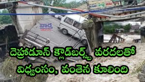 వరదలతో విధ్వంసం, వంతెన కూలింది