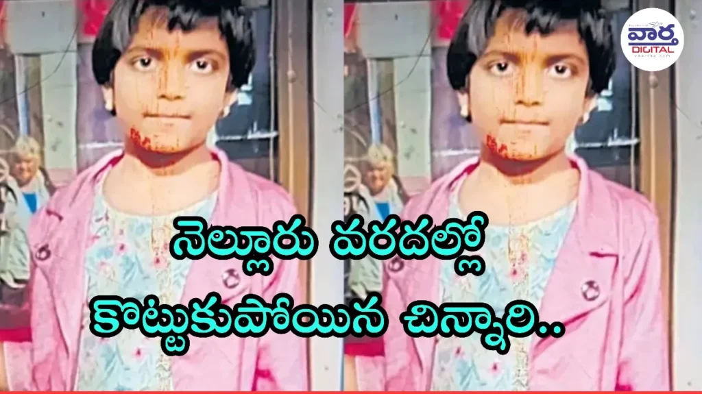 Telugu News:Floods-నెల్లూరు వరదల్లో కొట్టుకుపోయిన చిన్నారి.. పలువురి మృతి