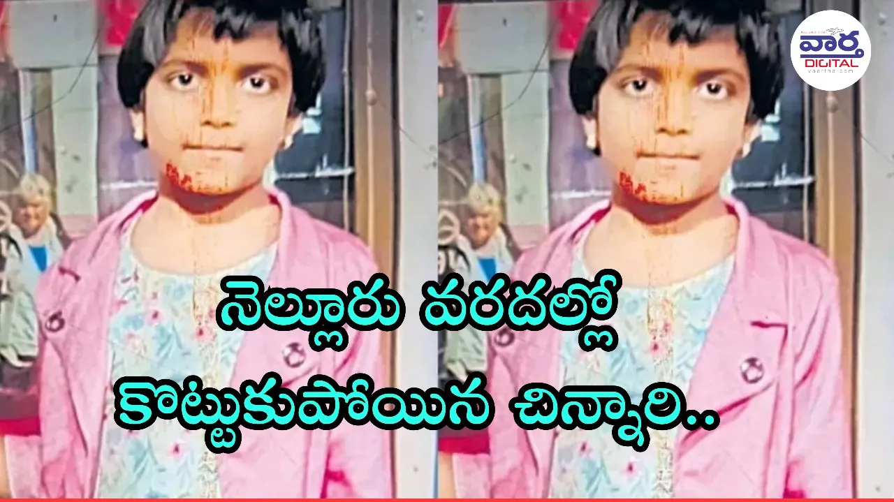 Floods-నెల్లూరు వరదల్లో కొట్టుకుపోయిన చిన్నారి.. పలువురి మృతి