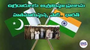 మండలిలో పాక్ పై భారత్ తీవ్ర ఆరోపణలు